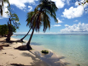 Le Lagon d'Anolis